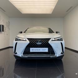 Lexus UX 250h 2WD Pack Business occasion - Saint-Maximin - photo 3/37