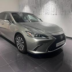 Lexus ES 300h Business MY23 Lattes