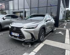 Lexus NX Lattes