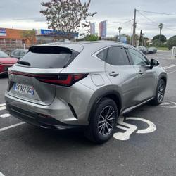 Lexus NX 450h+ Luxe 4WD Pack Design Lattes