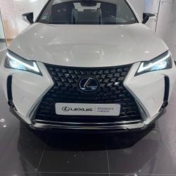 Lexus UX 250h 2WD Executive MY20 Lattes