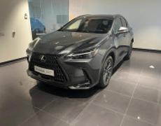 Lexus NX Lattes
