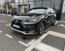Lexus NX Lattes