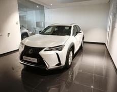 Lexus UX Lattes