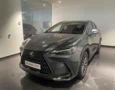 Lexus NX Lattes