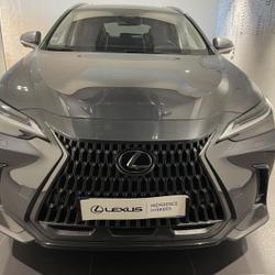 Lexus NX 450h+ Executive 4WD MY24 Lattes