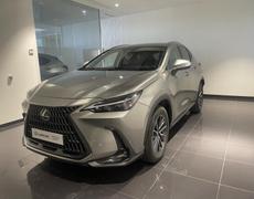 Lexus NX Lattes