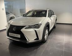 Lexus UX Lattes