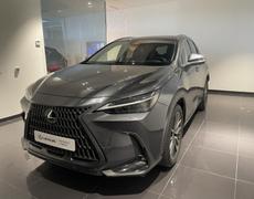 Lexus NX Lattes