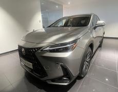 Lexus NX Lattes