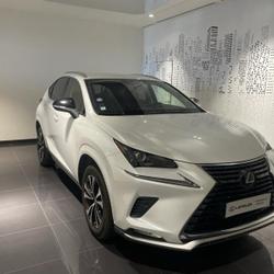 Lexus NX 300h 2WD Design MY21 Lattes