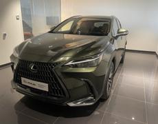 Lexus NX Lattes