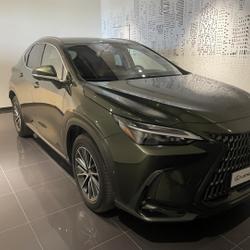 Lexus NX 450h+ Luxe 4WD MY25 occasion - Lattes - photo 3/25