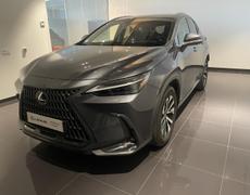 Lexus NX Lattes