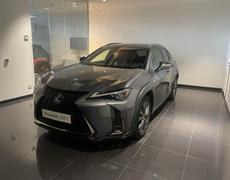 Lexus UX Lattes