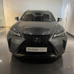 Lexus UX 250h 4WD F SPORT Executive MY19 Lattes