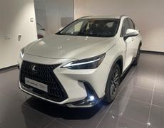 Lexus NX - 350h Pack Business 2WD MY24 - 41 990 €