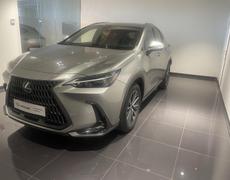 Lexus NX Lattes
