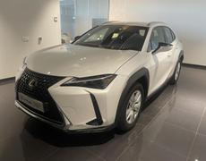 Lexus UX Lattes