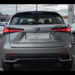 Lexus NX 300h 2WD Pack Business JA 17 occasion - Lattes - photo 2/20