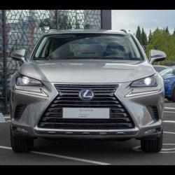 Lexus NX 300h 2WD Pack Business JA 17 occasion - Lattes - photo 3/20