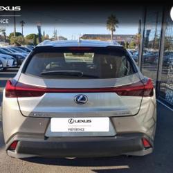 Lexus UX 250h 2WD Pack Confort Business + Stage Hybrid Academy MY21 occasion - Lattes - photo 2/20