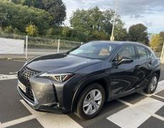 Lexus UX Lattes