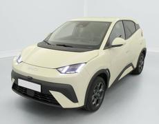 BYD Dolphin Auch