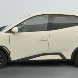 BYD Dolphin 156ch - 43,2 kWh Comfort Auch