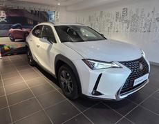 Lexus UX - 250h 2WD Luxe Plus MY21 - 25 990 €