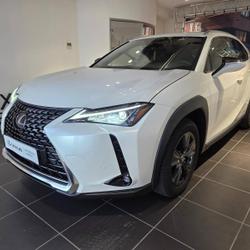 Lexus UX 250h 2WD Luxe Plus MY21 Aubi&egrave;re