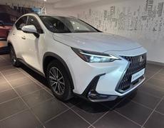 Lexus NX - 450h+ Luxe 4WD MY24 - 43 290 €