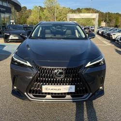 Lexus NX 450h+ Executive 4WD Aubi&egrave;re
