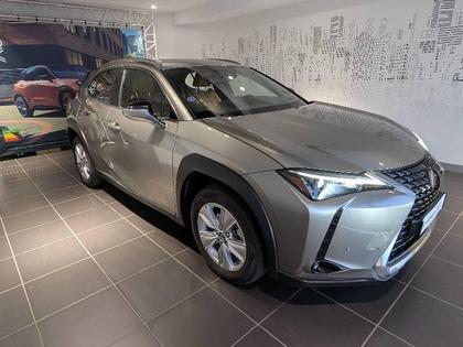 Lexus UX - 250h Pack Business 2WD - 24 990 €