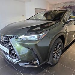 Lexus NX 350h Luxe 2WD MY24 occasion - Aubi&egrave;re - photo 3/20