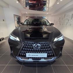 Lexus NX 350h Pack Business 2WD MY24 occasion - Aubi&egrave;re - photo 2/20