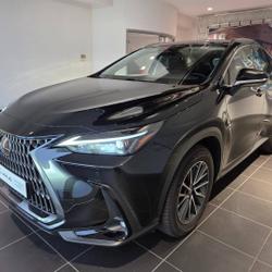 Lexus NX 350h Pack Business 2WD MY24 occasion - Aubi&egrave;re - photo 3/20