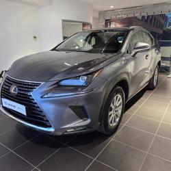 Lexus NX 300h 4WD Pack Business occasion - Aubi&egrave;re - photo 3/19