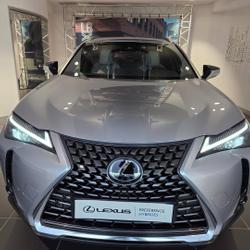 Lexus UX 300h Luxe 2WD MC25 occasion - Aubi&egrave;re - photo 2/20