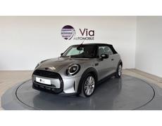 Mini Mini Saujon