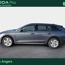 Skoda Octavia Combi Octavia Combi 2.0 TDI 116 ch Business Angers