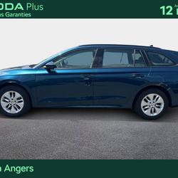 Skoda Octavia Combi Octavia Combi 2.0 TDI 116 ch DSG7 Business Angers