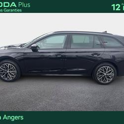 Skoda Octavia Combi Octavia Combi 2.0 TDI 150 ch DSG7 Business Angers