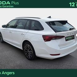 Skoda Octavia Combi Octavia Combi 2.0 TDI 150 ch DSG7 Business Angers