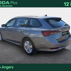 Skoda Octavia Combi Octavia Combi 2.0 TDI 150 ch DSG7 Business Angers