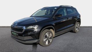 Skoda Karoq  - Business - photo 0