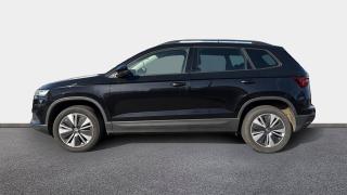 Skoda Karoq  - Business - photo 1