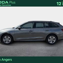 Skoda Octavia Combi Octavia Combi 2.0 TDI 150 ch DSG7 Business Angers