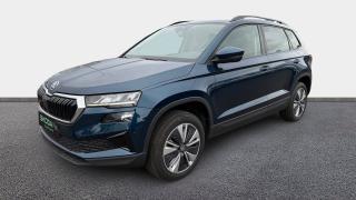 Skoda Karoq  - Business - photo 0
