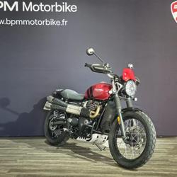 Triumph Scrambler Scrambler 900 Olivet